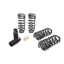 Eibach Pro-Kit Performance Front and Rear Lowering Springs