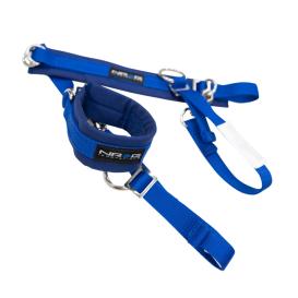 NRG Innovations SFI Approved Blue Arm Restraint Harness