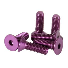 NRG Innovations Coninical Head Purple Screw Set