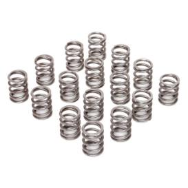 Brian Crower Valve Springs